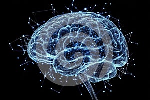 Human Brain Network Structure Visualization