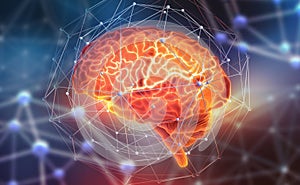 Human brain. Neural networks and artificial intelligence