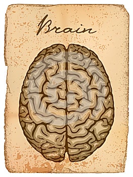 Human brain, old manuscript.