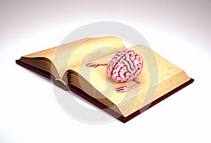 Human brain on an open book. Self development and education concept