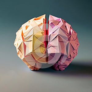 The human brain origamy paper