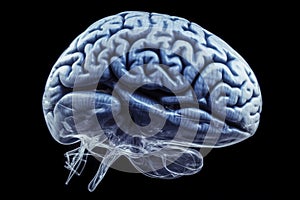 Human brain a part of human organ