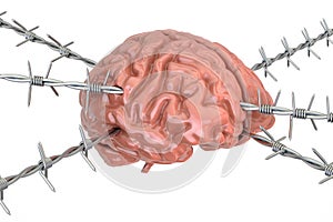 Human Brain pierced with barbed wire, 3D rendering