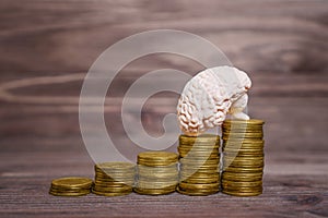 Human brain placed on coins stacks