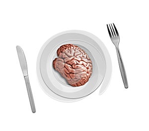 Human brain on plate