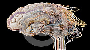 Human brain processing data, wires and connections creating a complex network