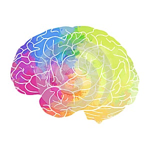 Human brain with rainbow watercolor spray on a white background.