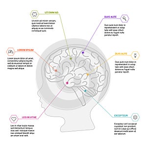 Human brain scheme on white background. Neurological infography photo