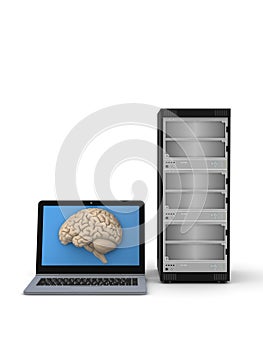 Human brain on a screen of laptop