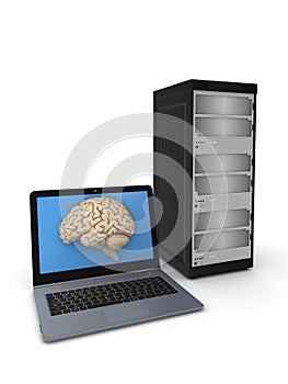 Human brain on a screen of laptop