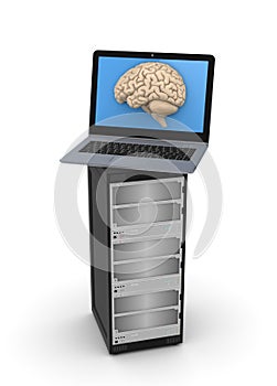 Human brain on a screen of laptop