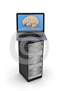 Human brain on a screen of laptop