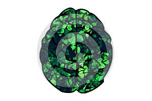 Human brain shape made of green leaves Think green concept