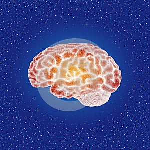 Human brain. Side view - vector stippled illustration