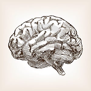 Human brain sketch style vector illustration