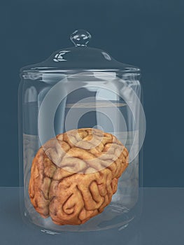 Human brain in a specimen jar photo