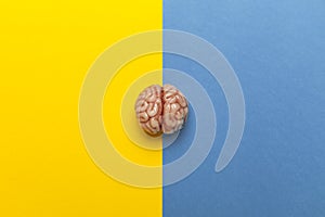 The human brain and split personality. Two psychological conditions