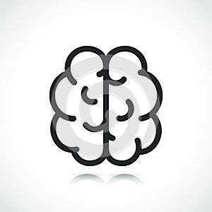 Human brain thin line icon