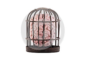 Human brain trapped in old rusty cage isolated on white