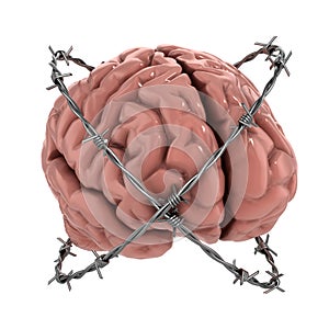 Human brain under barbwire