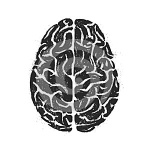 Human brain. Vector hand drawn illustration on white background