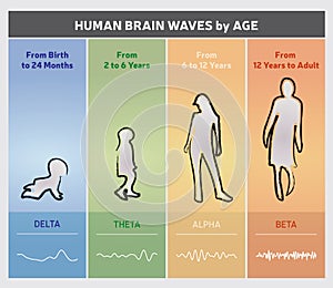 Human Brain Waves by Age Chart Diagram - People Silhouettes