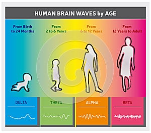 Human Brain Waves by Age Chart Diagram - People Silhouettes - Rainbow Colors - English Language