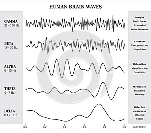 Human Brain Waves Diagram / Chart / Illustration photo