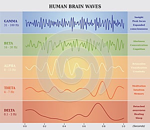 Člověk mozek vlny  graf  ilustrace 