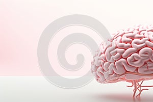 Human brain on a white background. 3d render, 3d illustration