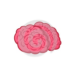Human brain on white background, vector illustration, cartoon