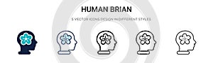 Human brian icon in filled, thin line, outline and stroke style. Vector illustration of two colored and black human brian vector