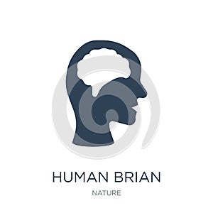 human brian icon in trendy design style. human brian icon isolated on white background. human brian vector icon simple and modern