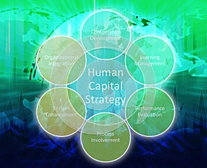 Human capital business diagram