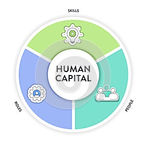 Human Capital or HC strategy framework infographics diagram chart illustration banner template with icon vector has skills, people