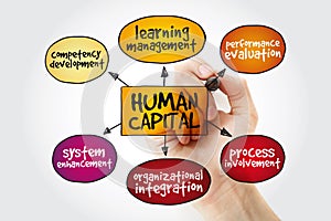 Human capital mind map with marker, business management strategy concept