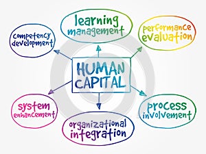 Human capital mind map strategy concept