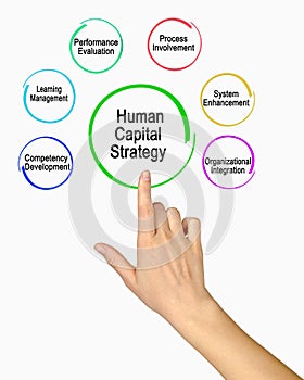 Human Capital Strategy