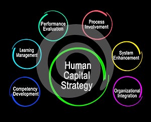 Human Capital Strategy