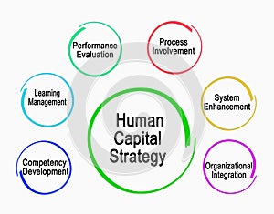 Human Capital Strategy