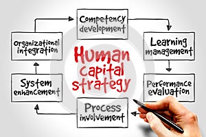 Human capital strategy photo