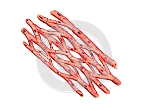 Human cardiac muscle cells on a white background, 2d graphic