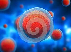  nucleolus, nucleus, 3d stem cell. photo