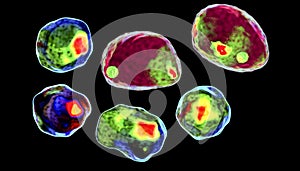 Human cell, colored in imaging flow cytometry style