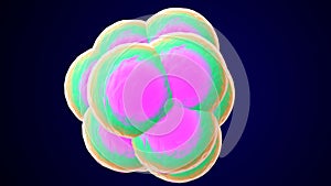 human cell division anatomy. 3d illustration