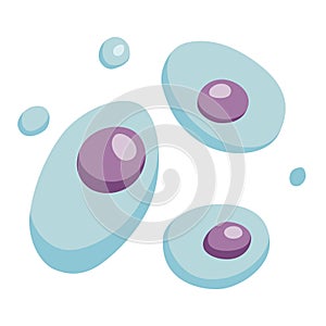 Human cell type icon. Medicine and biology illustrative symbol. Health, anatomy and science. Biology vector isolated on