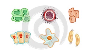 Human Cells as Structural Body Unit with Cytoplasm and Membrane Vector Set photo