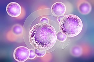 Human cells, illustration