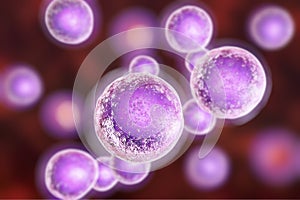 Human cells, illustration