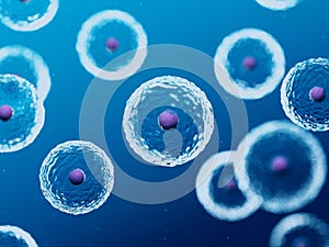 Human cells photo